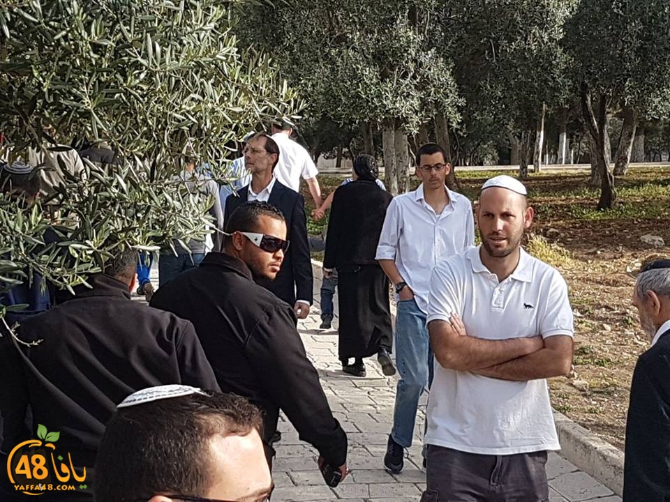 aqsa iqte7am (2).jpg